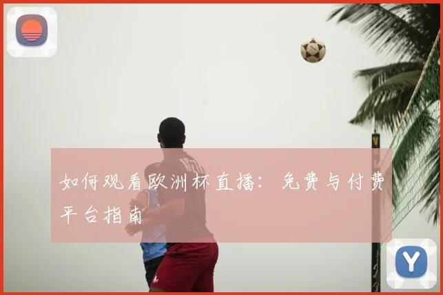 如何观看欧洲杯直播：免费与付费平台指南