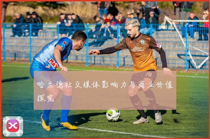 哈兰德社交媒体影响力与商业价值探究