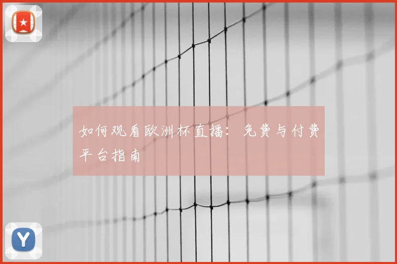 如何观看欧洲杯直播：免费与付费平台指南